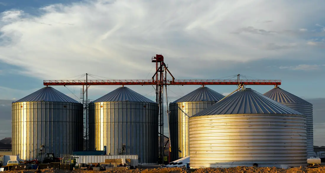Agri-processing silos and maize fields linked by funding flows