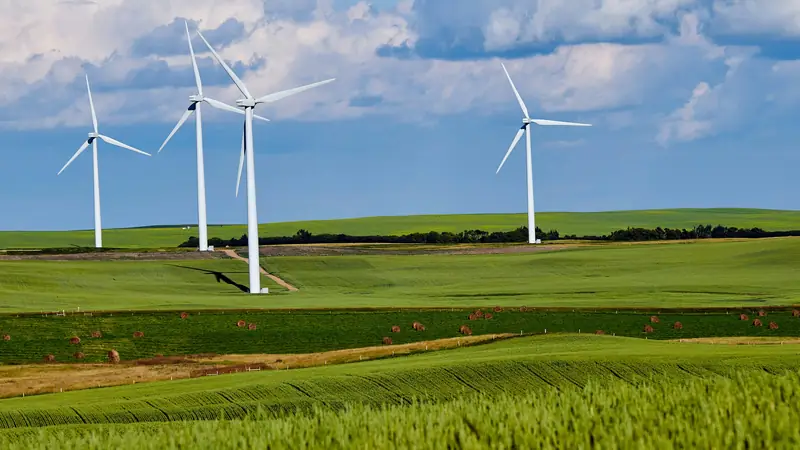 Wind turbines and farmland at sunrise